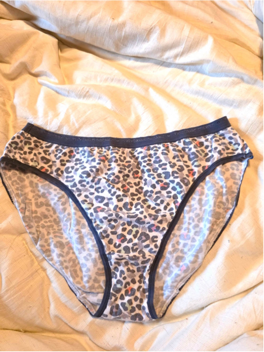 Victoria's Secret Hi Leg Brief panties Size large Animal Print
